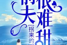 拐来的前夫很难甜时漾傅景川,拐来的前夫很难甜最新章节-贝壳文学