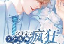 分手后，9个男神疯狂追求我免费阅读，分手后，9个男神疯狂追求我章节在线阅读-贝壳文学