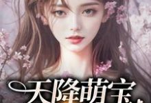 主人公叫元宝陆婉令的小说哪里免费看-贝壳文学