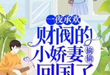 完结版《一夜承欢:财阀的小娇妻偷偷回国了》章节阅读-贝壳文学