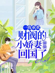 完结版《一夜承欢：财阀的小娇妻偷偷回国了》章节阅读