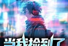 当我捡到了最高审判官小说，当我捡到了最高审判官池重泠岑聿珘-贝壳文学