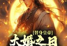 完结版《替身皇帝,大婚之日假戏真做了》章节目录在线阅读-贝壳文学