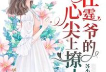主人公叫苏菁菁封迟湛的小说哪里免费看-贝壳文学