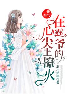 主人公叫苏菁菁封迟湛的小说哪里免费看
