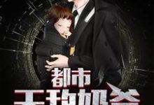 都市无敌奶爸小说，都市无敌奶爸章节在线阅读-贝壳文学