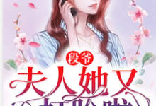 段爷，夫人她又双叒打脸啦章节免费在线阅读，苏晓晓段天凌完结版-贝壳文学