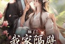 主人公叫谢北衡林湘湘的小说哪里免费看-贝壳文学