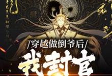 叶天策小说在哪里可以看-贝壳文学