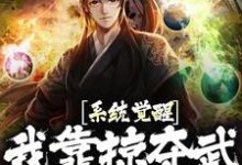 主角宁越小说系统觉醒！我靠掠夺武魂无敌了免费阅读-贝壳文学