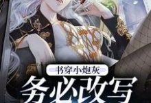 书穿小炮灰，务必改写好结局小说免费资源，书穿小炮灰，务必改写好结局在线阅读-贝壳文学