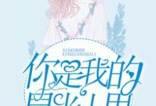 想读黎月季司深的故事,哪里可以免费找到你是我的星光十里?-贝壳文学
