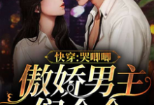 免费阅读姜呦司承北箫肆小U为主角的小说，快穿：傲娇男主们个个哭唧唧在线看-贝壳文学
