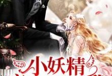 小妖精疯狂倒追我小说的最新章节在哪里更新?免费追踪阅读-贝壳文学