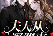 简茵熹傅霆灏小说在线章节免费阅读(夫人从深渊来无弹窗无删减)-贝壳文学