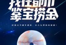 求推荐可以免费阅读穿越百年,我在都市鉴宝捞金小说的网站-贝壳文学