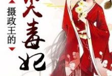 求摄政王的心尖毒妃小说免费资源-贝壳文学