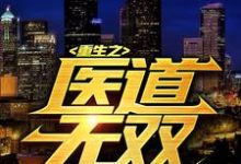 叶枫的小说在哪里看?免费在线阅读重生之医道无双-贝壳文学