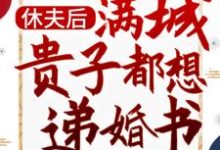 已完结小说《休夫后，满城贵子都想递婚书》在线章节阅读-贝壳文学
