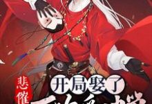 男女主人公叫杨昊貂蝉曹操王允的小说免费资源-贝壳文学
