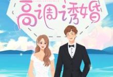 在线寻找宋年夕沈鑫赫瑞文的小说，宋医生，请高调诱婚免费阅读-贝壳文学