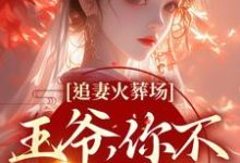 想读关绾绾萧凛之的故事，哪里可以免费找到追妻火葬场：王爷，你不该囚禁她？-贝壳文学