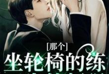 那个坐轮椅的练习生他超强小说的所有章节都能在哪里免费读到？-贝壳文学