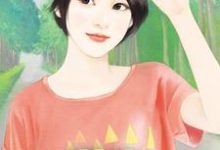 主角苏落池司宸小说萌宝：大佬团宠抢做爹免费阅读-贝壳文学