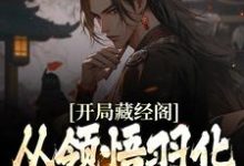 开局藏经阁，从领悟羽化不朽诀开始小说无弹窗阅读的网站推荐-贝壳文学