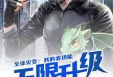 已完结小说《全球灾变：我的农场能无限升级》章节在线阅读-贝壳文学