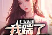 男女主人公沈昭衍周嫣晨小说重生后，我踹了花心老婆章节免费阅读-贝壳文学