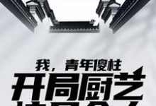 何雨柱傻柱为主角的小说好看吗?求我,青年傻柱,开局厨艺惊呆众人免费试读-贝壳文学