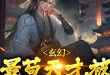主角叫君莫见风铃儿小说玄幻：最苟天才，被坏蛋发现了章节免费阅读-贝壳文学
