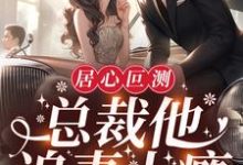 居心叵测:总裁他追妻上瘾小说,居心叵测:总裁他追妻上瘾章节在线阅读-贝壳文学