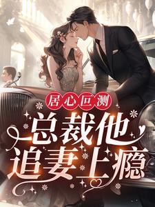 居心叵测：总裁他追妻上瘾小说，居心叵测：总裁他追妻上瘾章节在线阅读