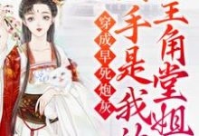 小说《穿成早死炮灰，凶手是我的主角堂姐》在线章节阅读-贝壳文学