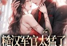 糙汉军官太猛了，千金顶不住小说全文哪里可以免费看？-贝壳文学