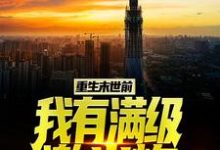 陆宁王烨小说《重生末世前,我有满级激光炮》在线阅读-贝壳文学
