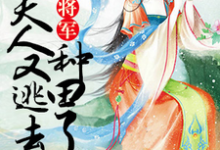 《将军,夫人又逃去种田了》全集免费在线阅读(海棠盛睿泽段晋辰)-贝壳文学