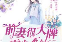 完结版《前妻很大牌：霍少，不约》章节目录在线阅读-贝壳文学
