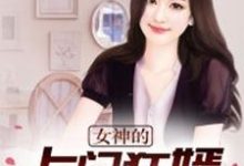 女神的上门狂婿小说的免费电子版在哪里可以下载或阅读？-贝壳文学