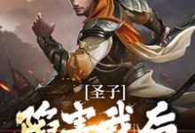圣子陷害我后，宗门暴乱章节免费在线阅读，叶圣陶完结版-贝壳文学