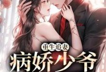 小说《重生追妻:病娇少爷他超爱》章节阅读-贝壳文学