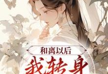 小说《和离以后，我转身改嫁权贵》在线章节阅读-贝壳文学