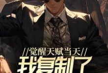 王浩是哪本书的主角?觉醒天赋当天,我复制了SSS级天赋免费读-贝壳文学