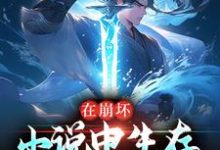 帅佰是哪本书的主角?寻找在崩坏小说中生存,我哭了免费阅读-贝壳文学