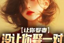 哪里能找到让你娶妻,没让你娶一对富婆姐妹啊小说的全部章节?-贝壳文学