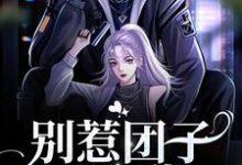 别惹团子,团子有靠山小说有没有完结版在线?-贝壳文学