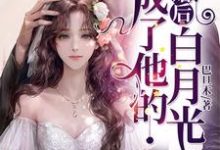 完结版《离婚后，成了他的白月光》在线免费阅读-贝壳文学