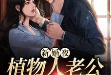 《新婚夜，植物人老公突然亲我》小说大结局免费试读 厉晏城姜妍小说-贝壳文学